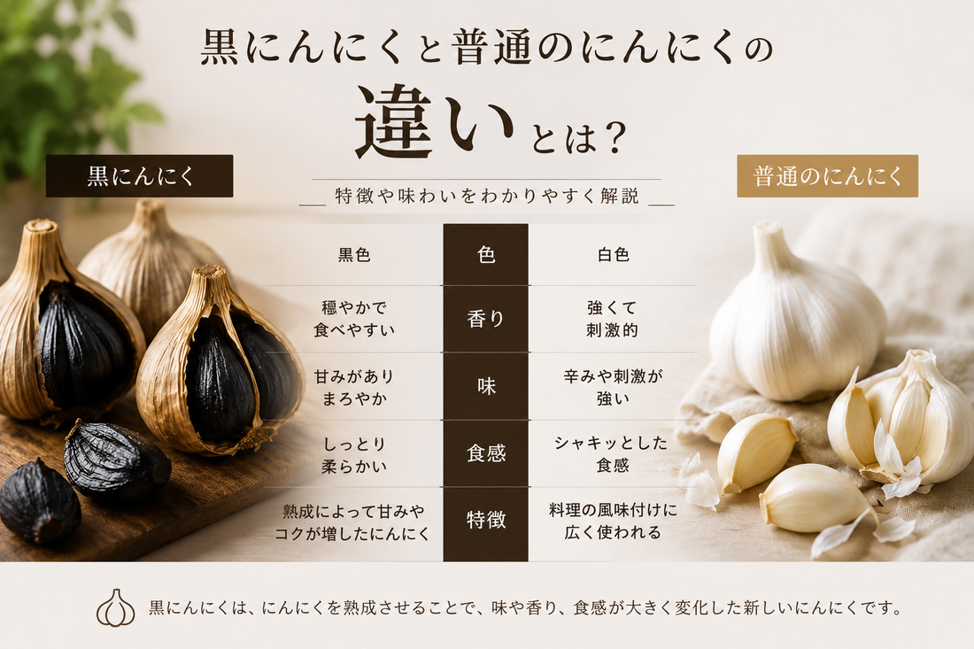 黒にんにくと普通のにんにくの違いとは？特徴や味わいをわかりやすく解説